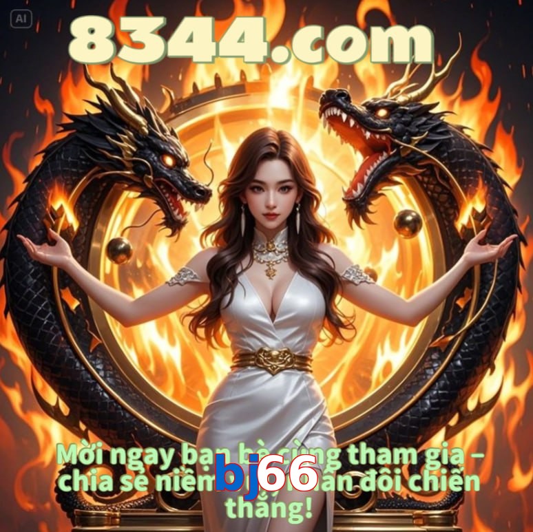 bj66